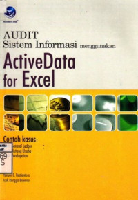 Audit Sistem Informasi Menggunakan ActiveData for Excel